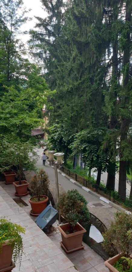 Rosa Villa Băile Olăneşti 외부 사진