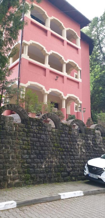 Rosa Villa Băile Olăneşti 외부 사진