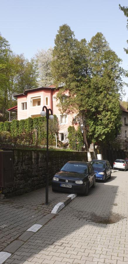 Rosa Villa Băile Olăneşti 외부 사진